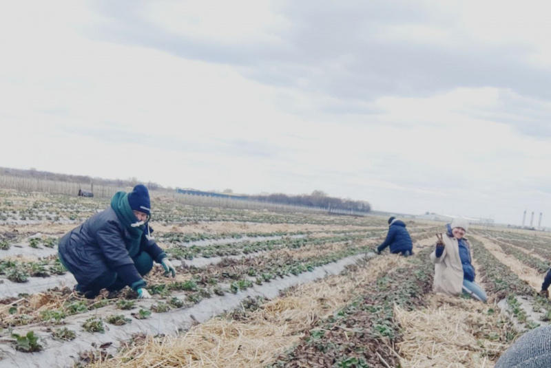 Вакансий достаточно!