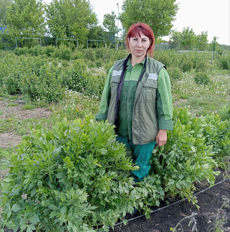 Временно покинувшая место постоянного проживания жительница Краснояружского района обрела работу благодаря кадровому центру