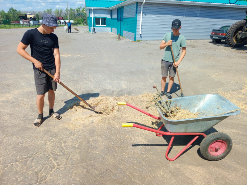 С начала года Красногвардейский кадровый центр трудоустроил 980 подростков