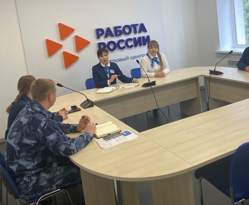 Содействие занятости лиц, освободившихся из мест лишения свободы