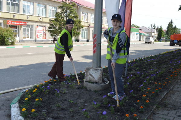 В Прохоровском районе трудоустроили 333 подростка