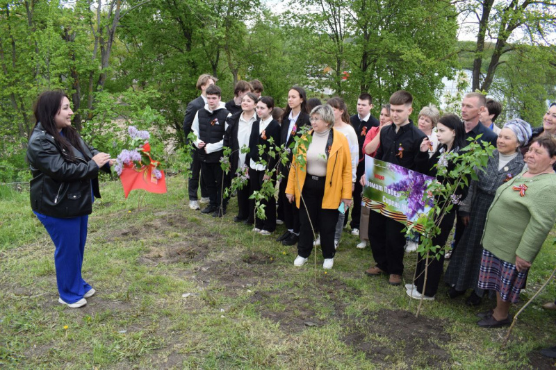 «Аромат Победы — Сирень Мая»