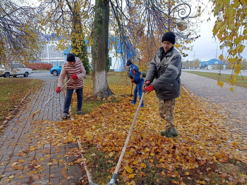 В октябре Краснояружский кадровый центр трудоустроил 6 безработных граждан на вакансию озеленителя 